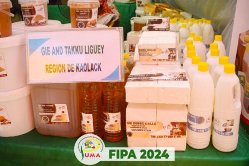 3FIPA 2024