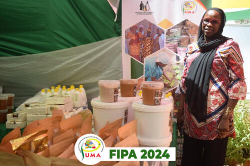 FIPA 2024 1