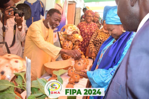 FIPA 20246