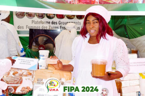 FIPA 20247